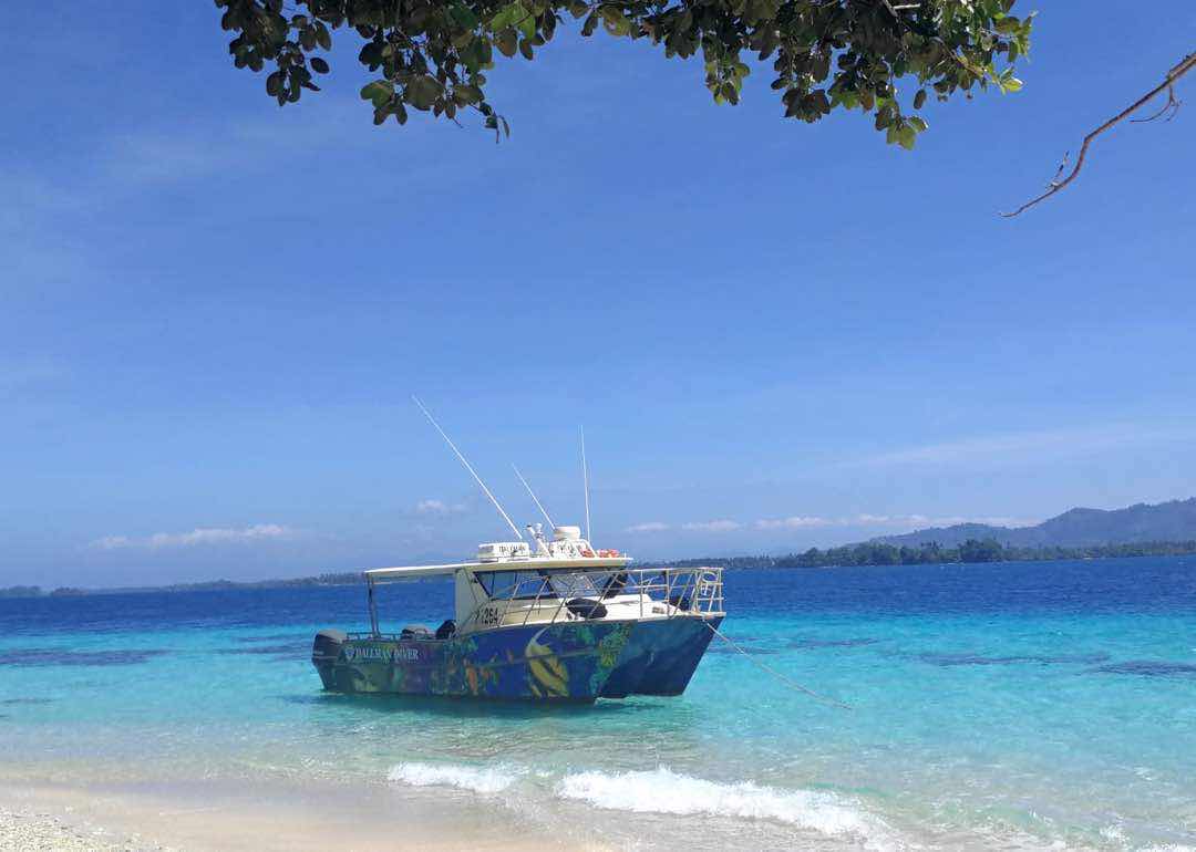 Niugini Dive Adventures photo 9