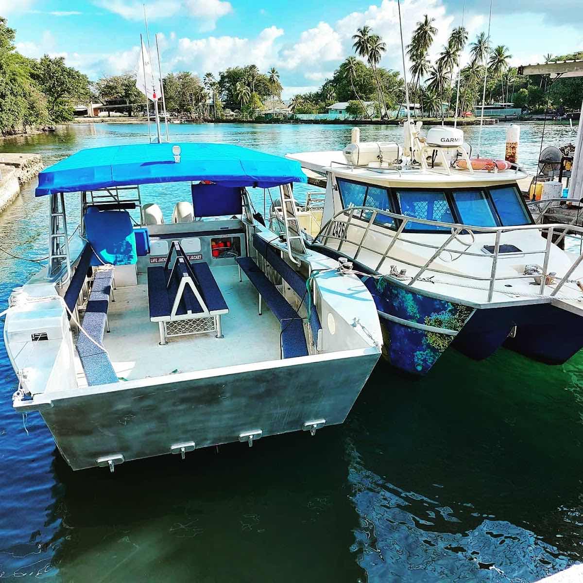 Niugini Dive Adventures photo 10
