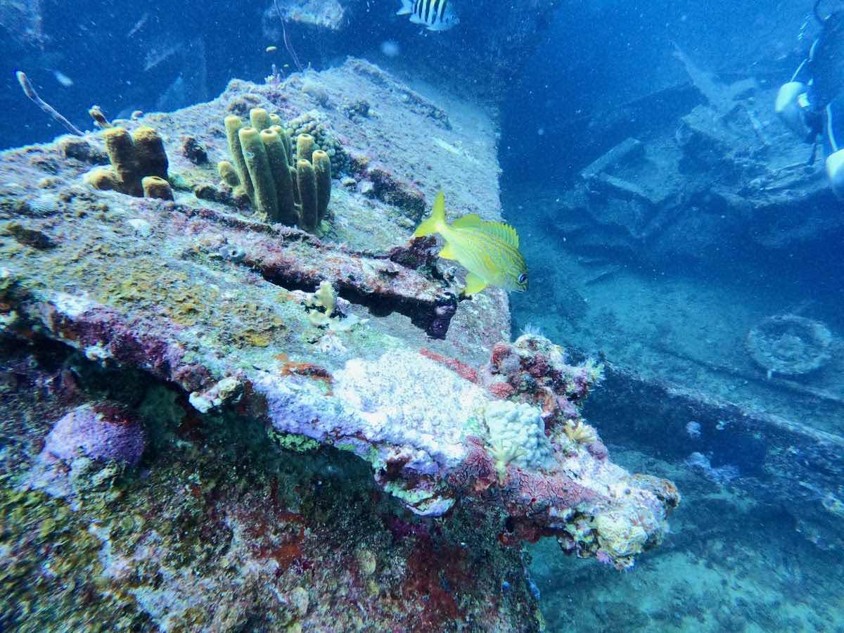 Aruba Bob Snorkel & Scuba photo 2