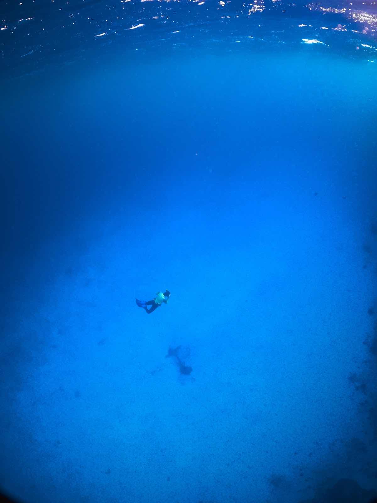 Aruba Bob Snorkel & Scuba photo 4
