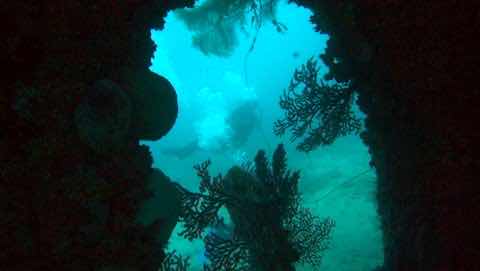 Aruba Bob Snorkel & Scuba photo 7