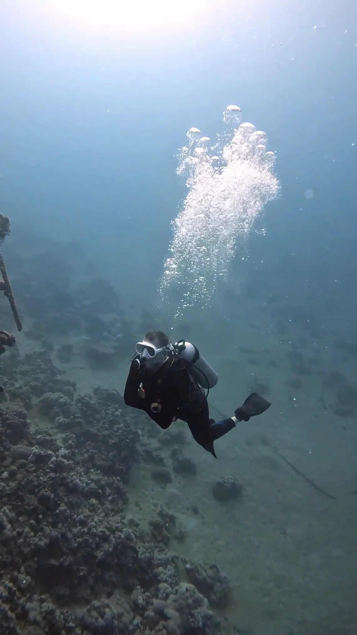 Aqaba Leaders dive center photo 3