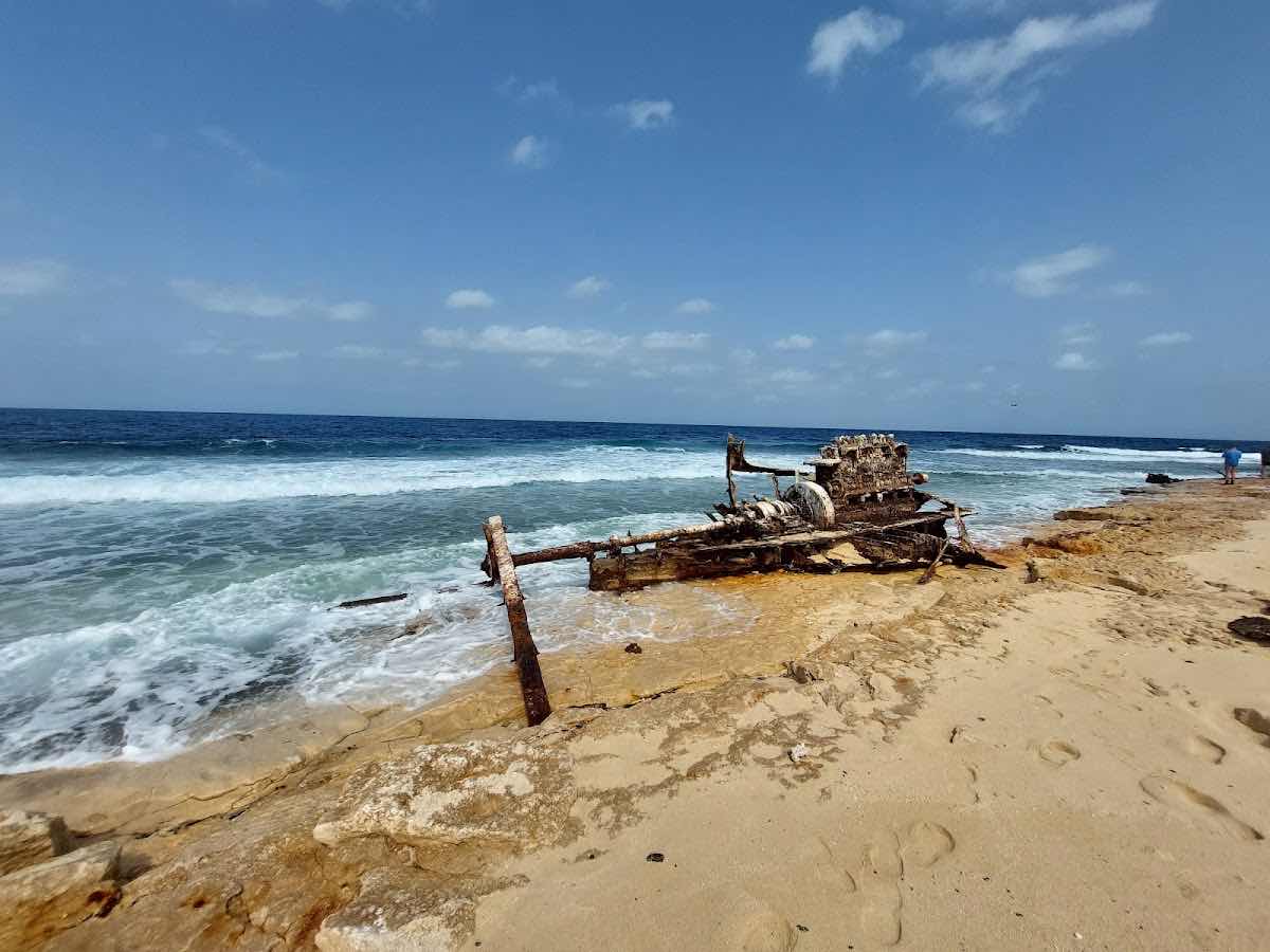 Sudan Diver الغـــواص photo 10