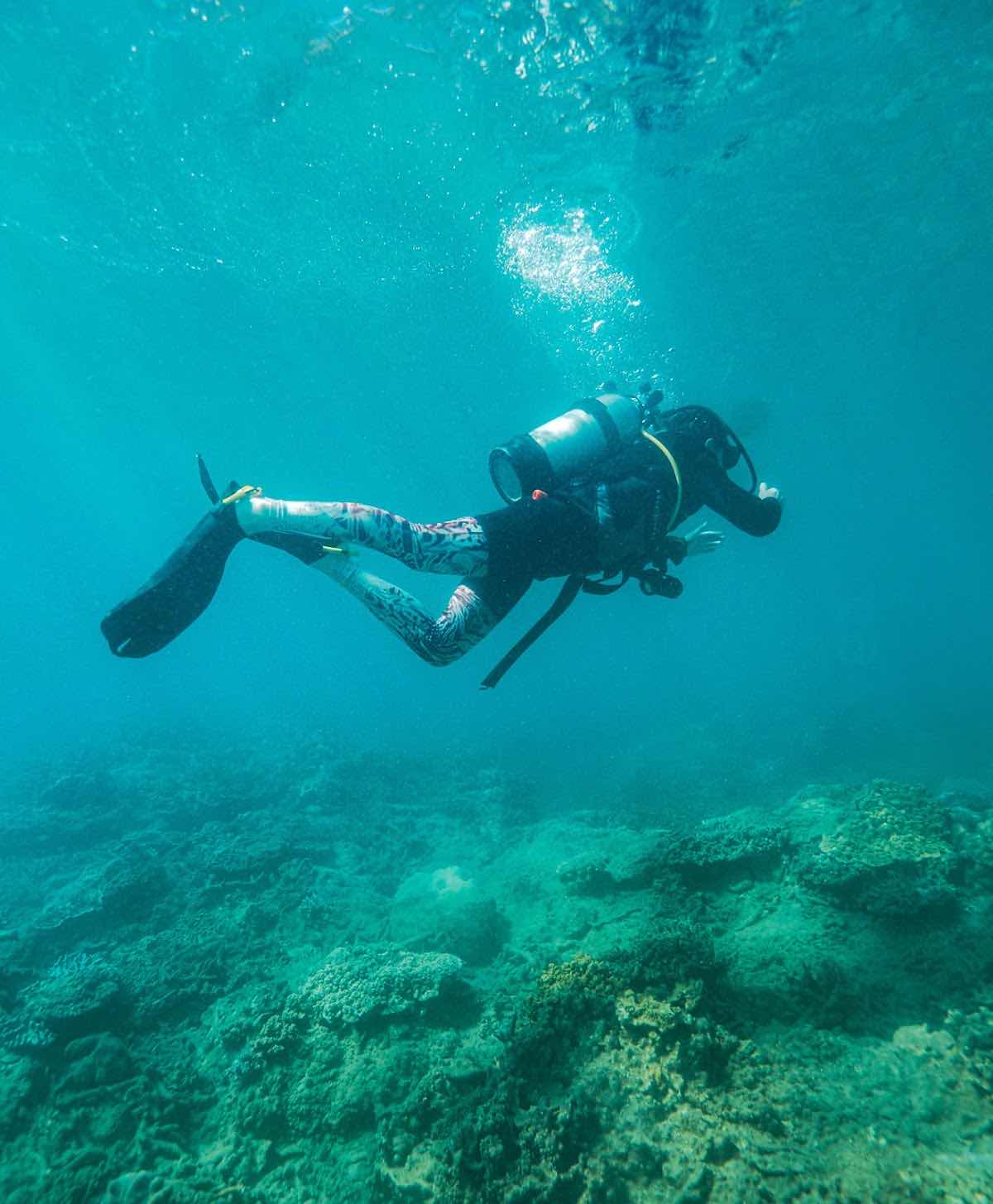 Octopus Dive Cairns photo 1