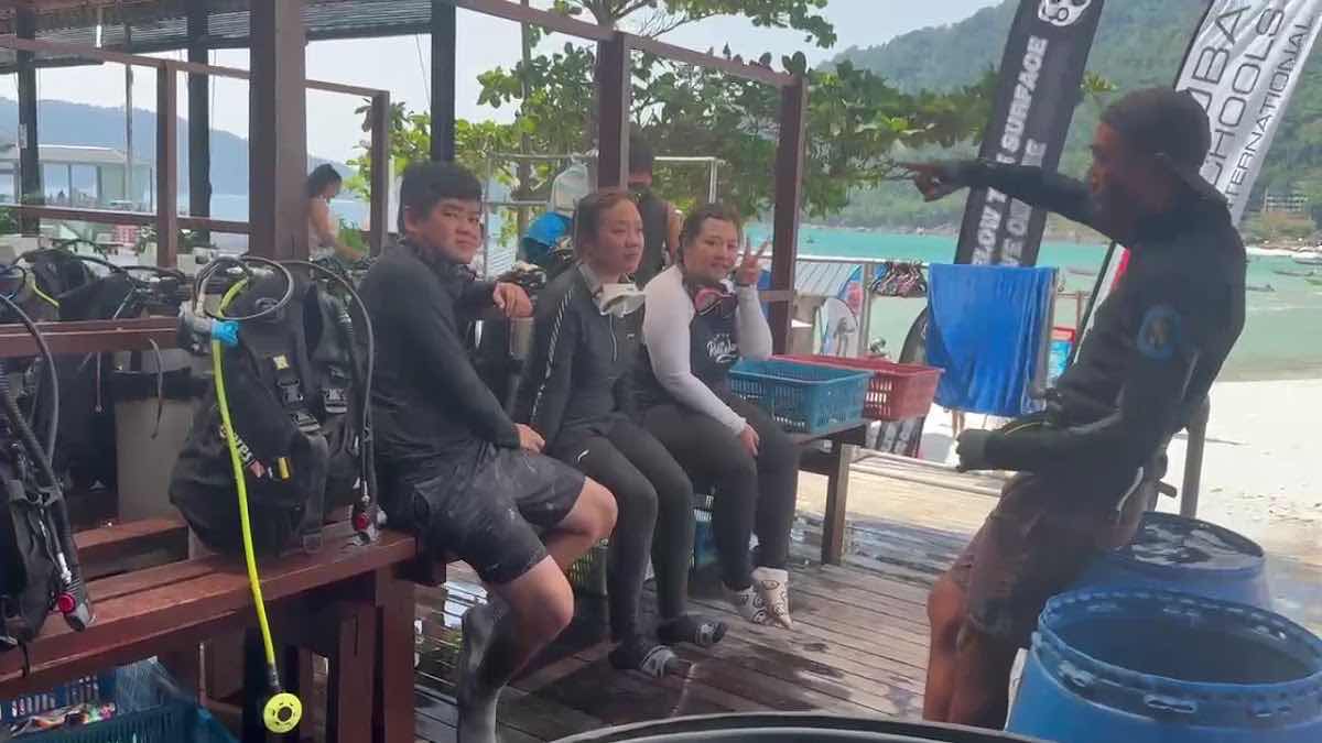 Below The Surface Divers photo 3