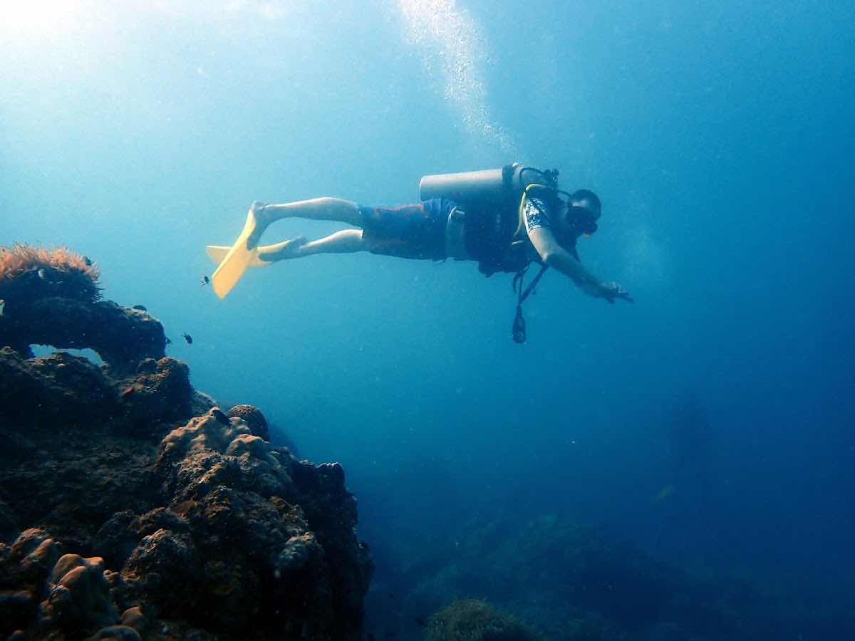 Below The Surface Divers photo 10