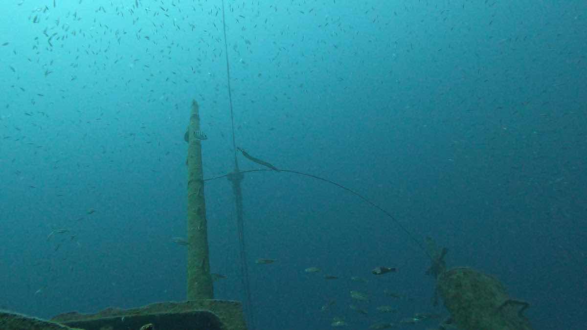 One Two Dive Tenerife photo 3