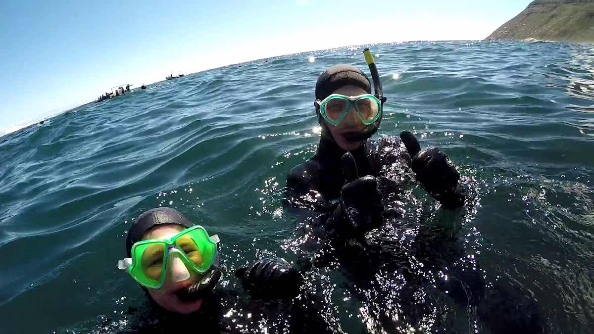In Between The Kelp🤿 photo 6