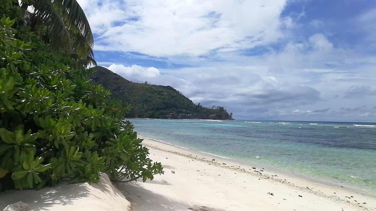 Praslin ProDivers Dive Center photo 2
