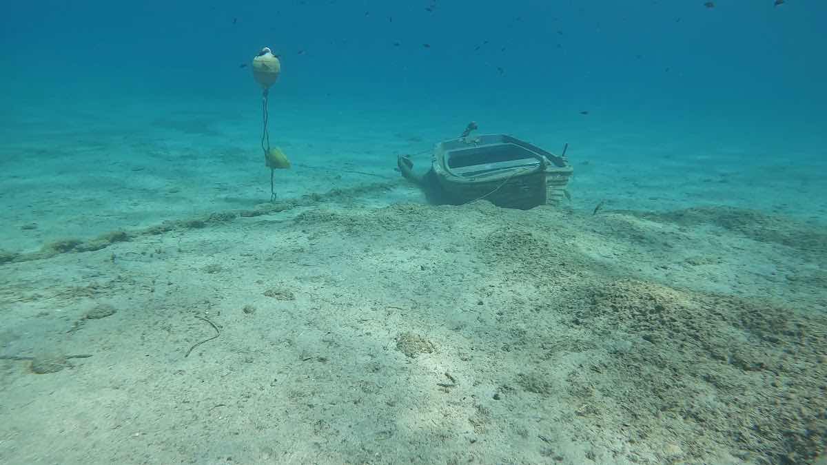 Deep Blue Diving Club photo 3