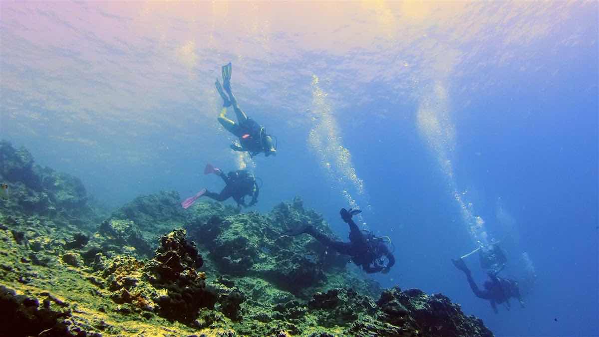 Deep Blue Diving Club photo 9