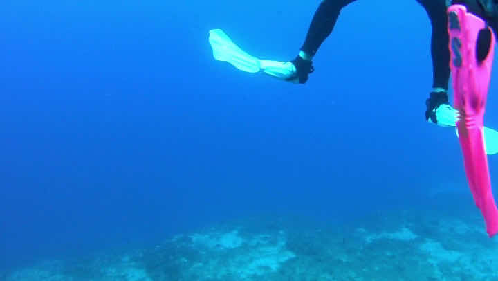 Deep Blue Diving Club photo 10