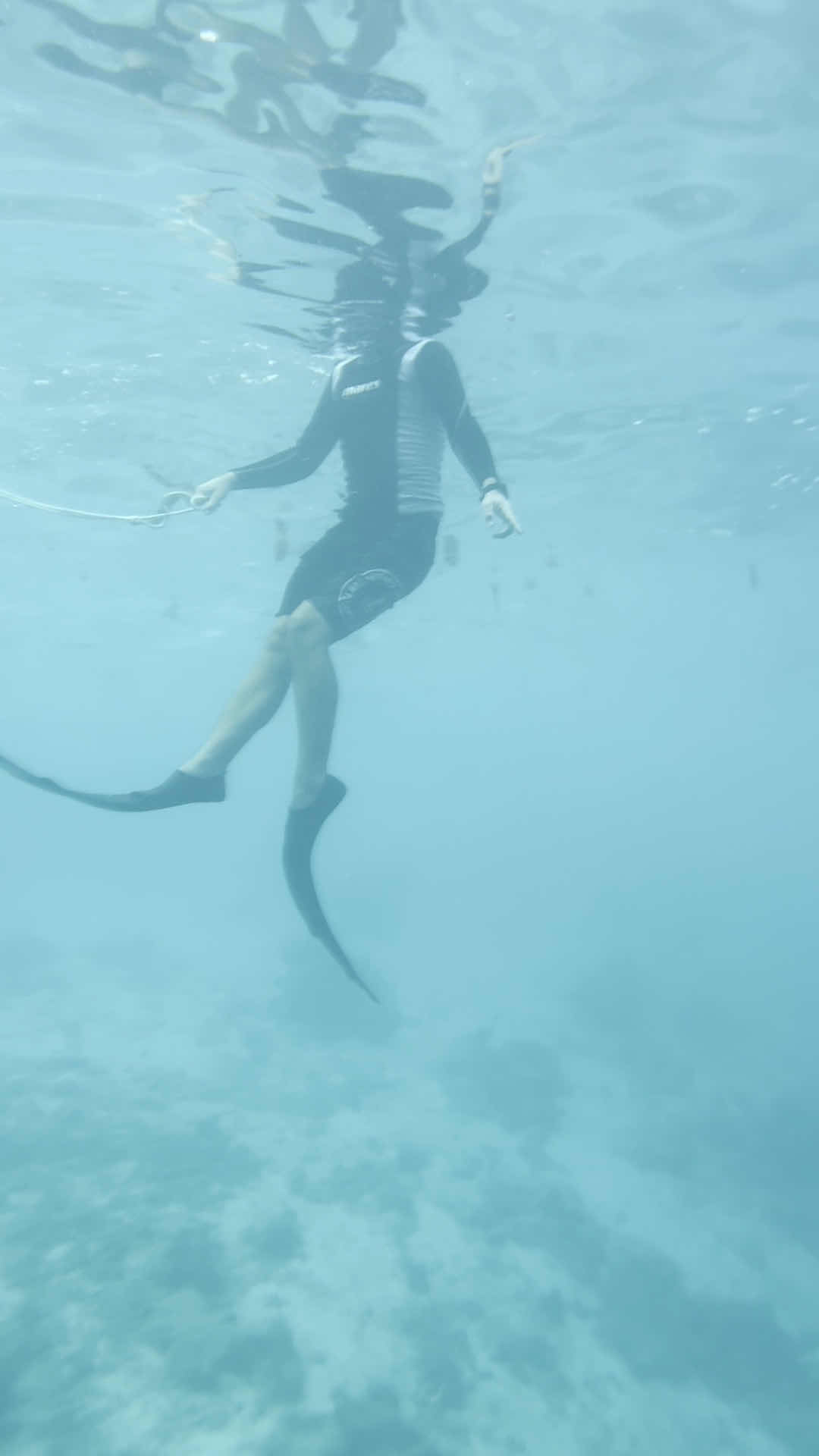 Moorea Underwater Experience photo 3