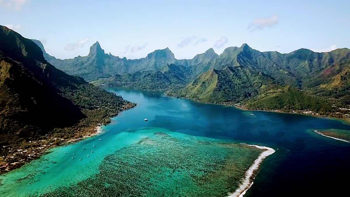 Moorea Underwater Experience photo 9