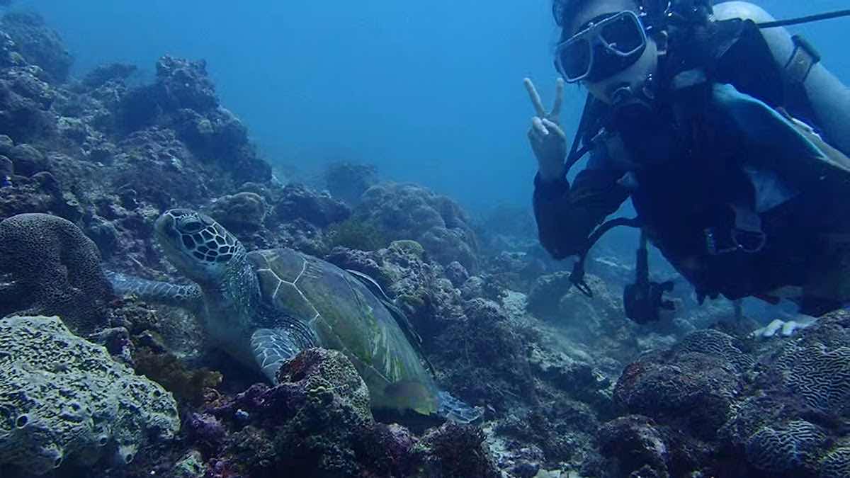 cebu j diving center(aja tour) photo 8