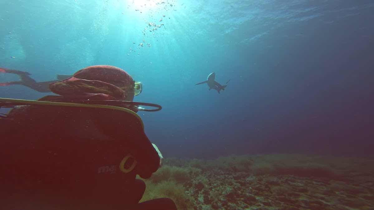DiverGems Diving Center photo 4