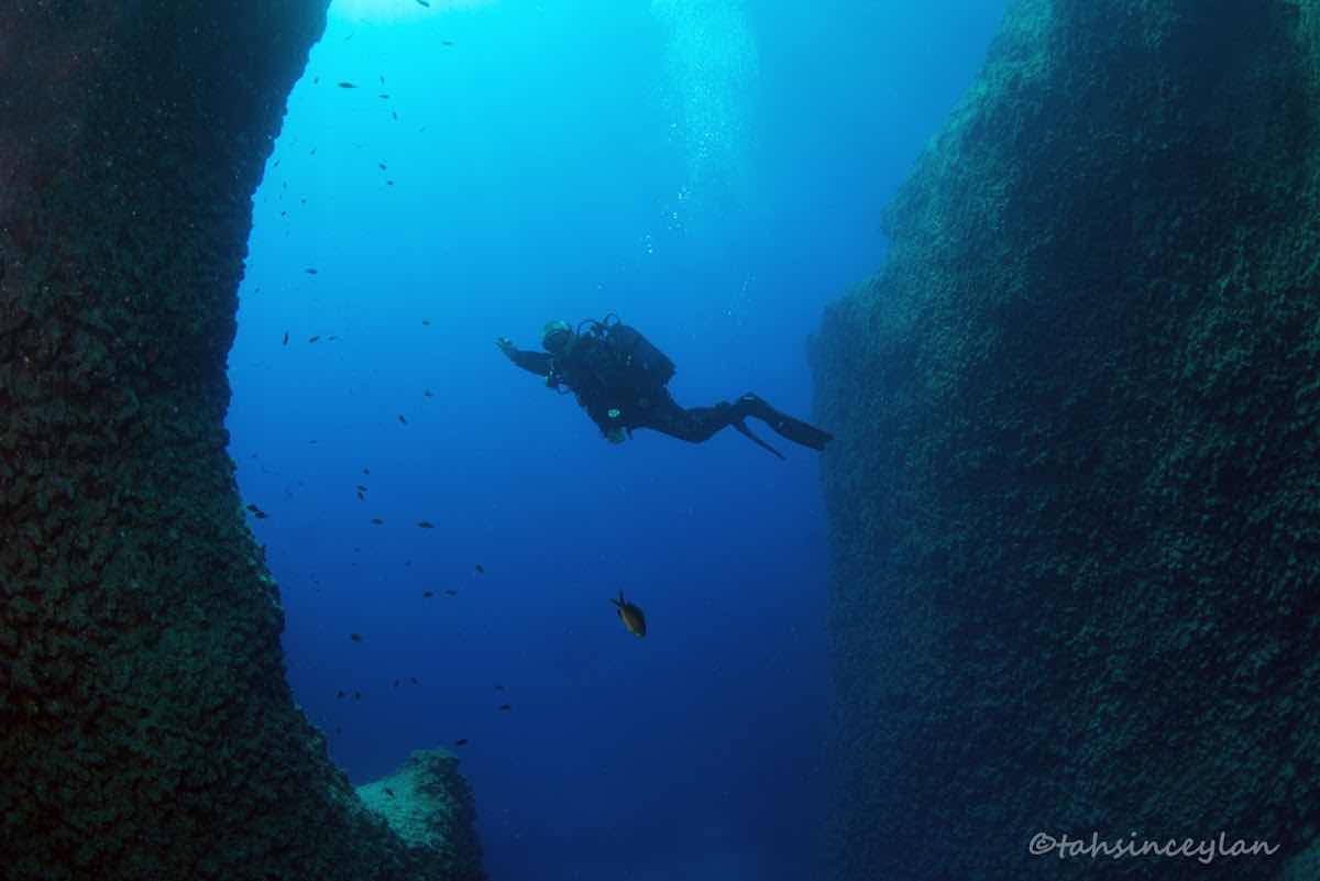 Canyon Diving Center - Diving School Canyon photo 5