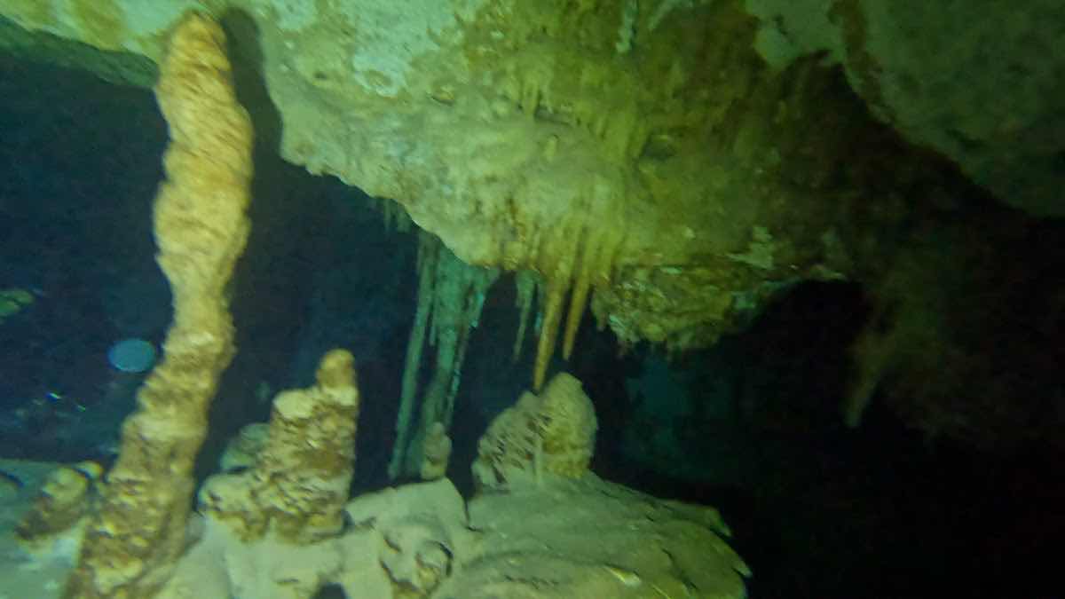 Scuba Public Diving Puerto Morelos photo 3
