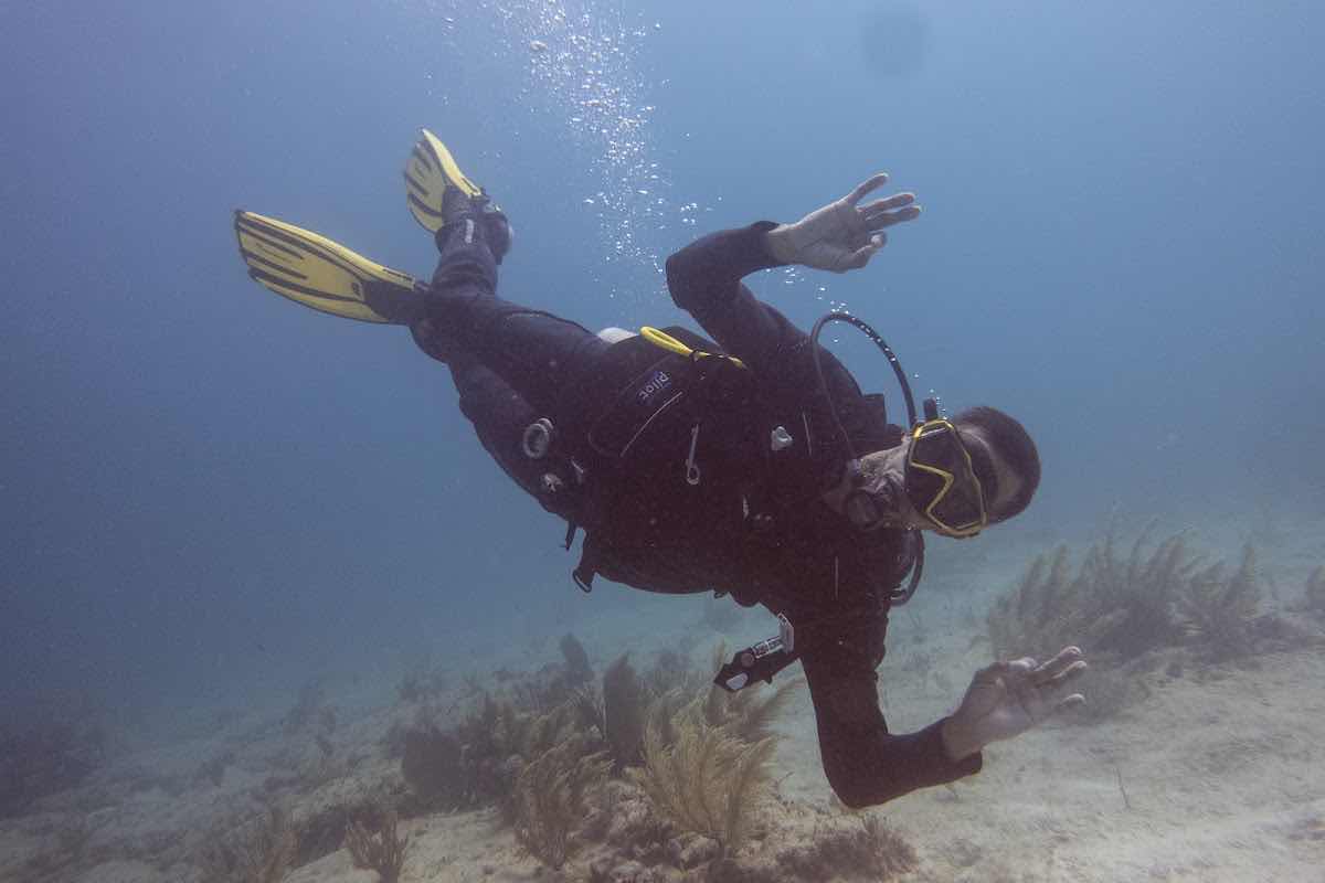 Scuba Public Diving Puerto Morelos photo 4