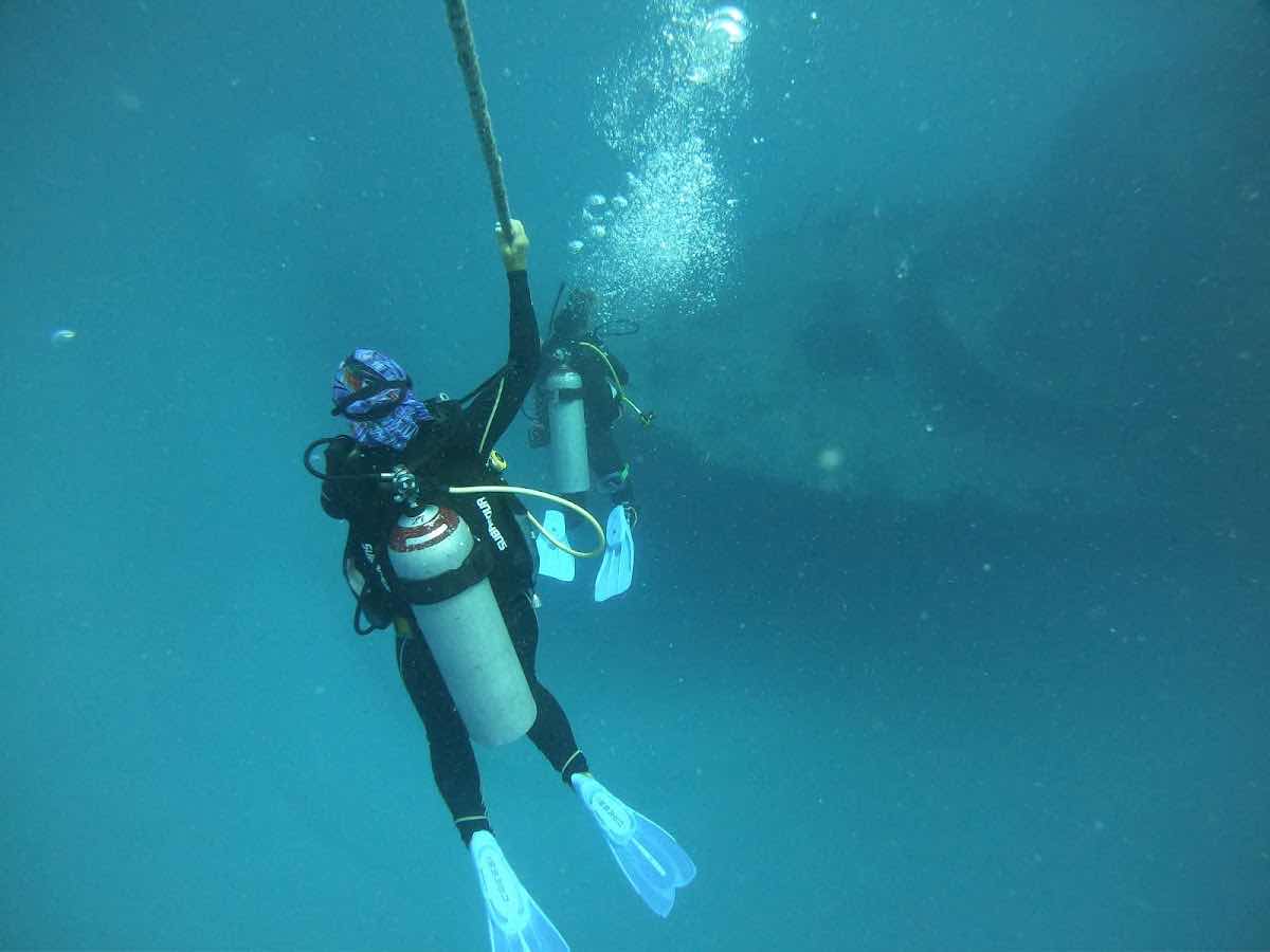 Scuba Public Diving Puerto Morelos photo 7