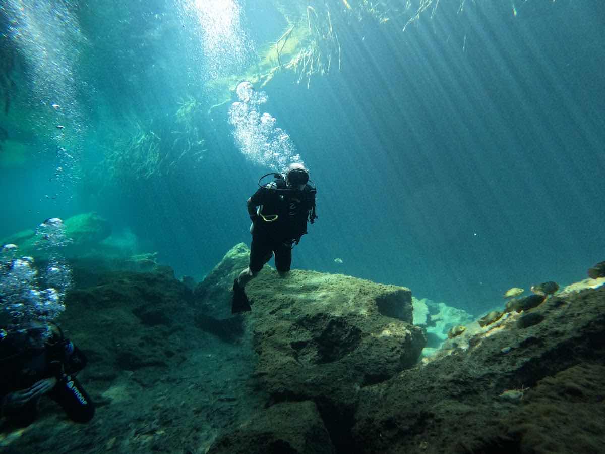 Scuba Public Diving Puerto Morelos photo 9