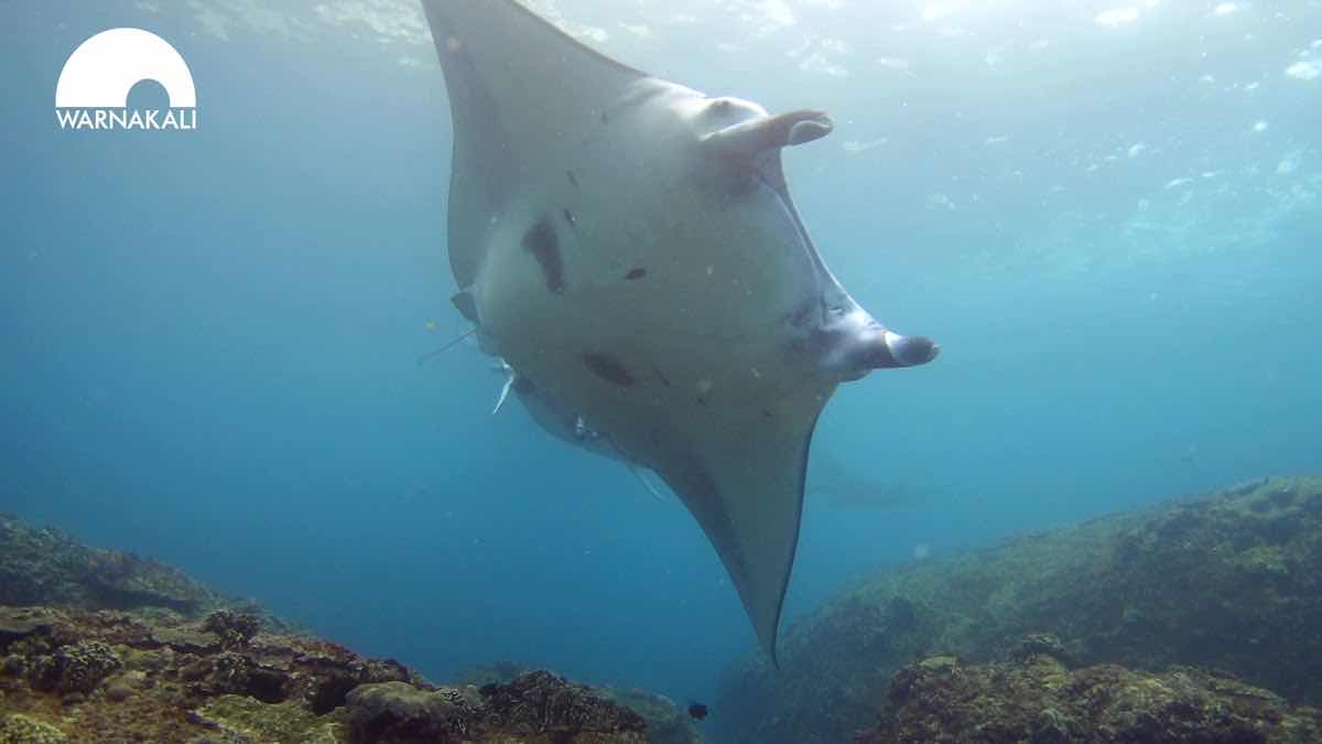 DUNE Penida Dive Resort photo 5