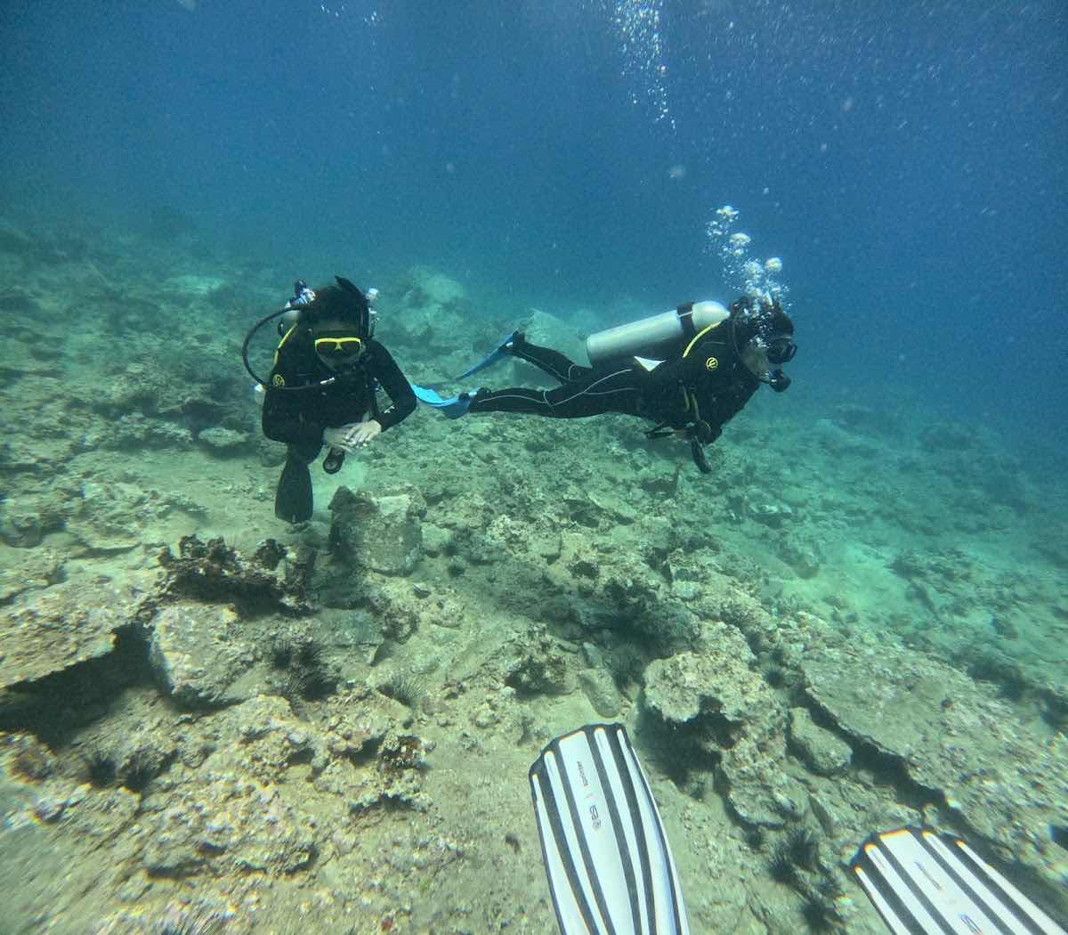 VietDivers - Diving in Nha Trang photo 1