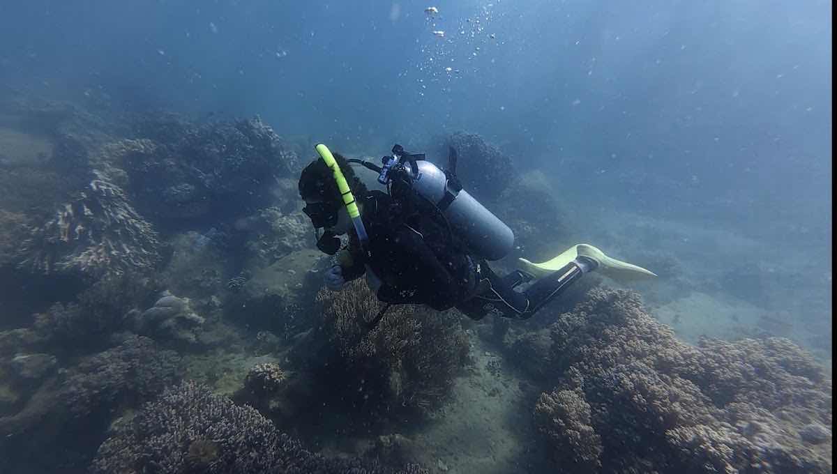VietDivers - Diving in Nha Trang photo 2