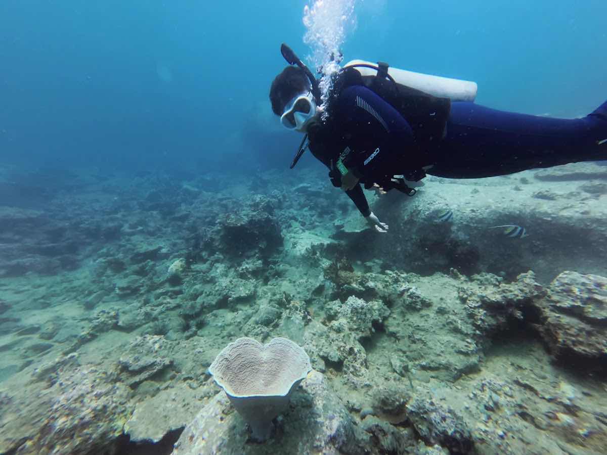 VietDivers - Diving in Nha Trang photo 3
