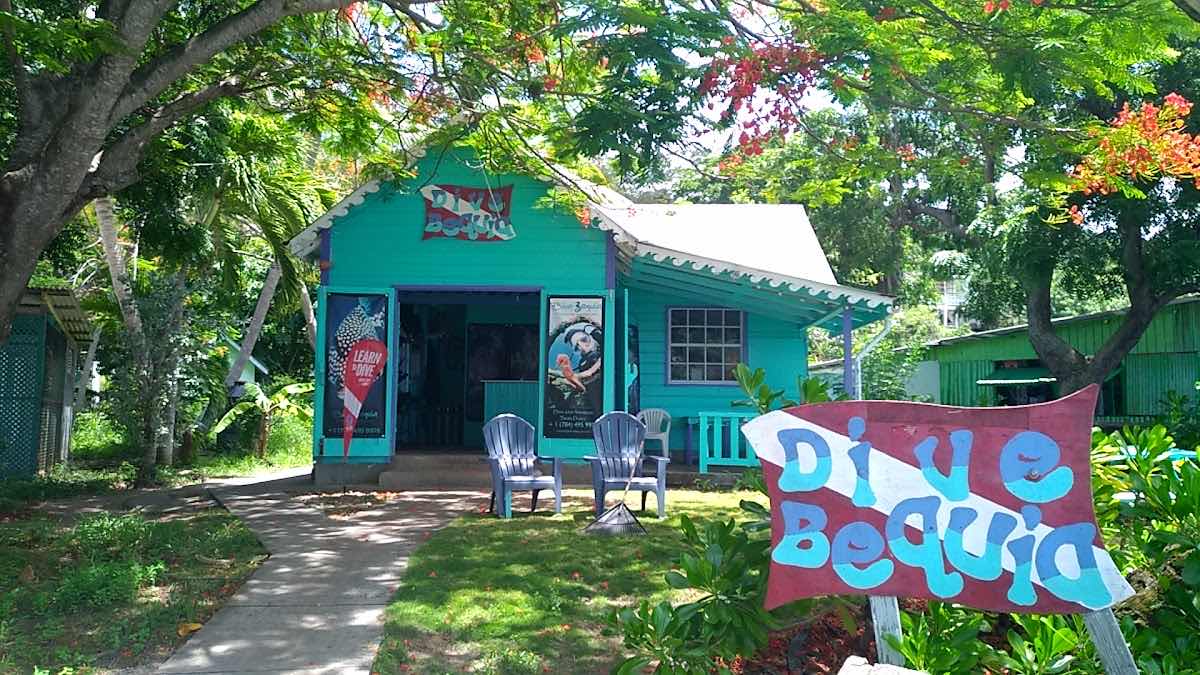 Dive Bequia photo 3