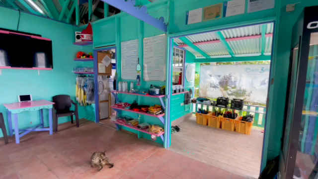 Dive Bequia photo 5
