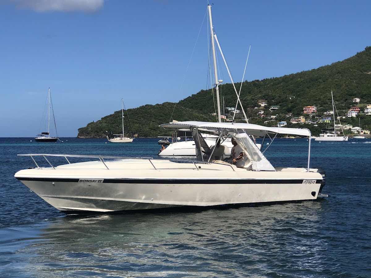Dive Bequia photo 8