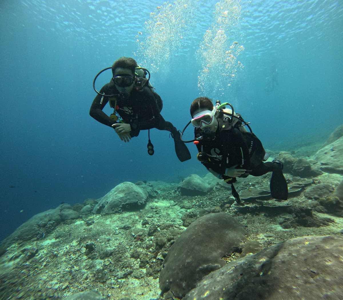 Bali Hai Diving Adventures Lembongan photo 6