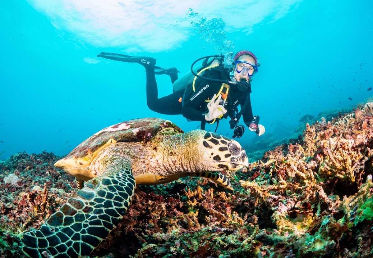 Bali Hai Diving Adventures Lembongan photo 8