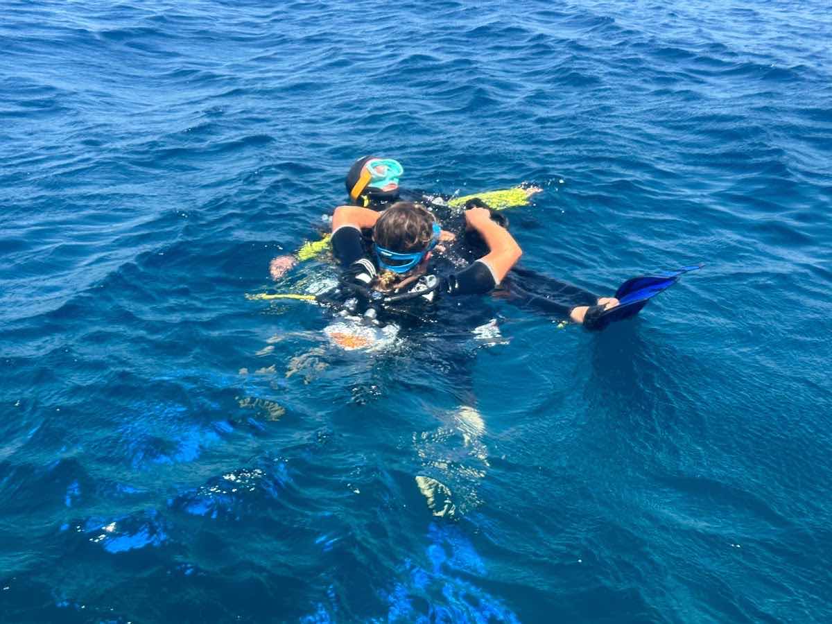 Diving Calvi photo 8