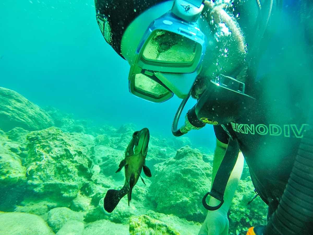 Kos Diving - Arian Diving Centre photo 1