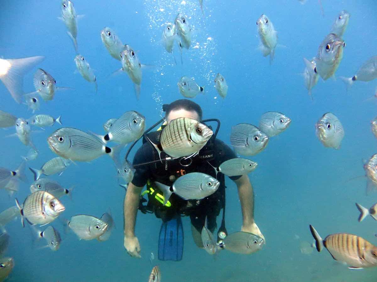 Kos Diving - Arian Diving Centre photo 4