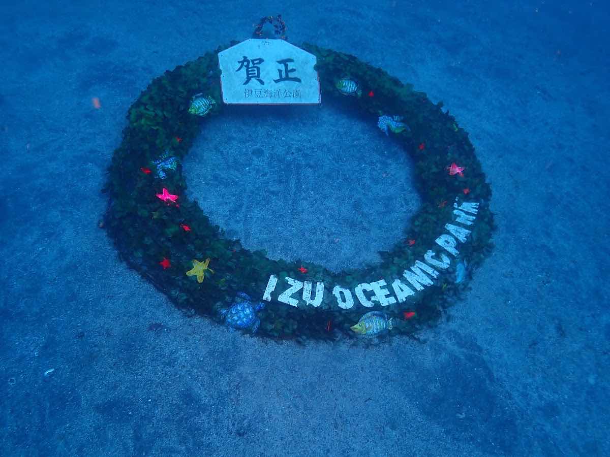 Dive Shop Takarajima photo 2