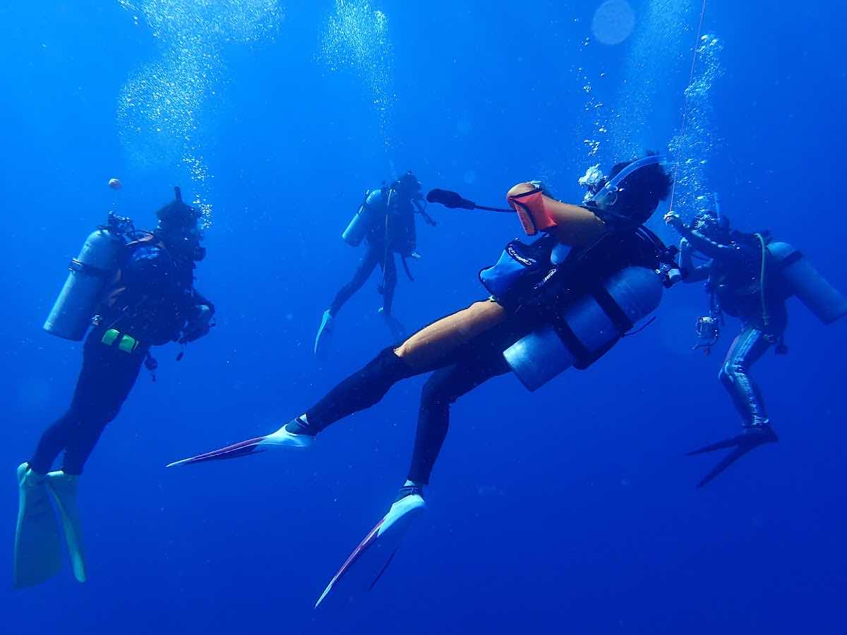 Dive Shop Takarajima photo 4