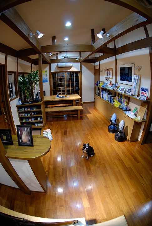Dive Shop Takarajima photo 9
