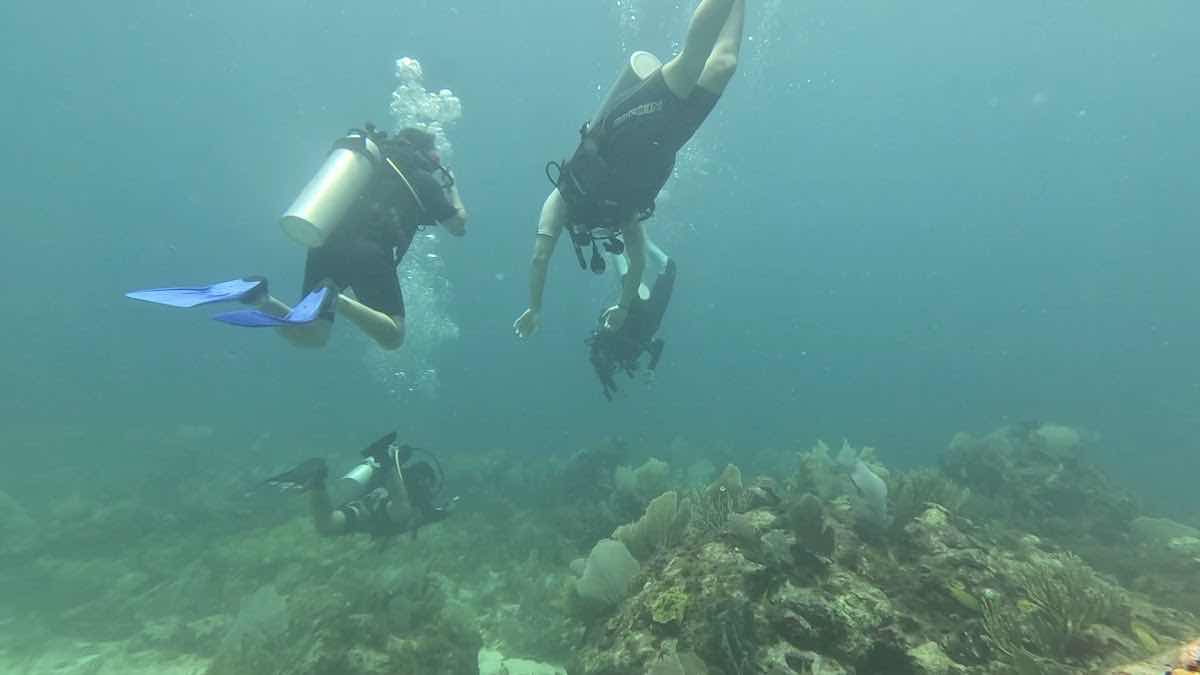 Scuba & Adventours photo 3