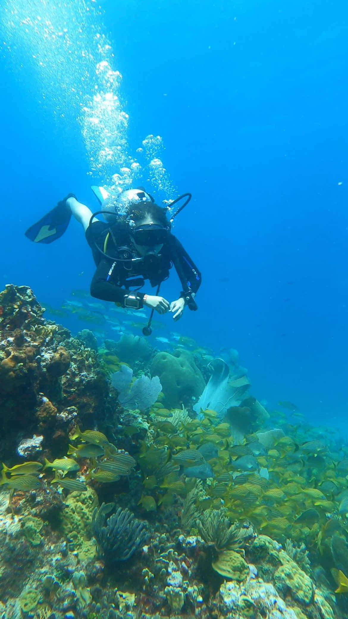 Scuba & Adventours photo 8