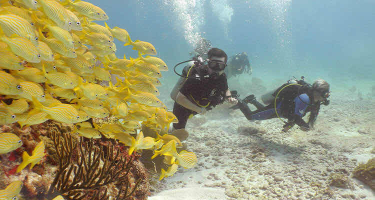 Scuba & Adventours photo 10