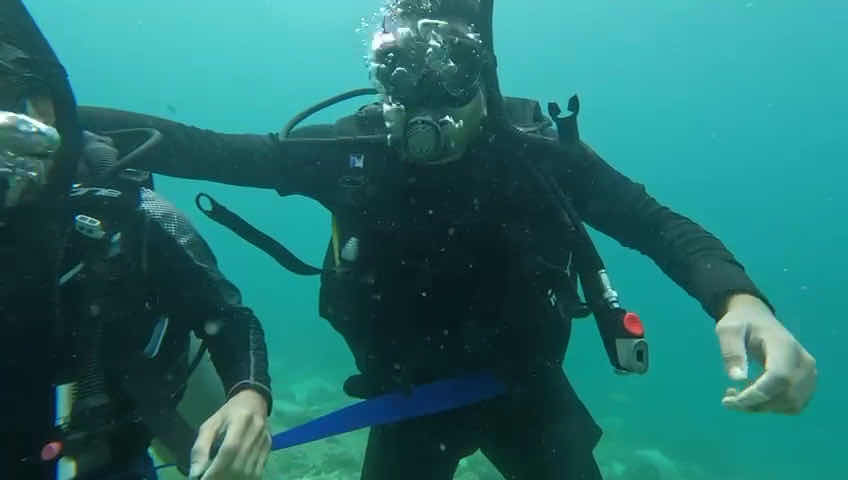Ninety Nine Islands Diver/99 Dive & Dine photo 3