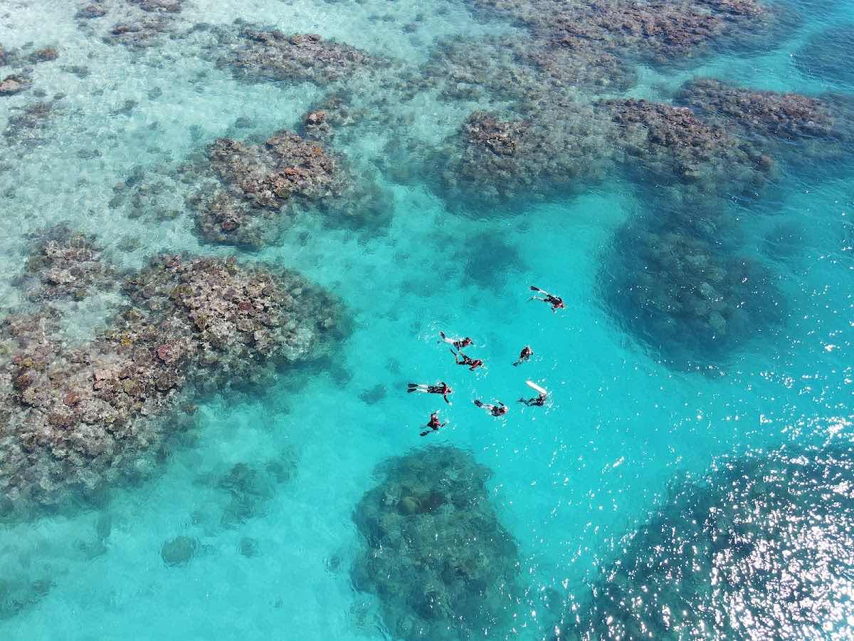 ABC Reef Safaris photo 1