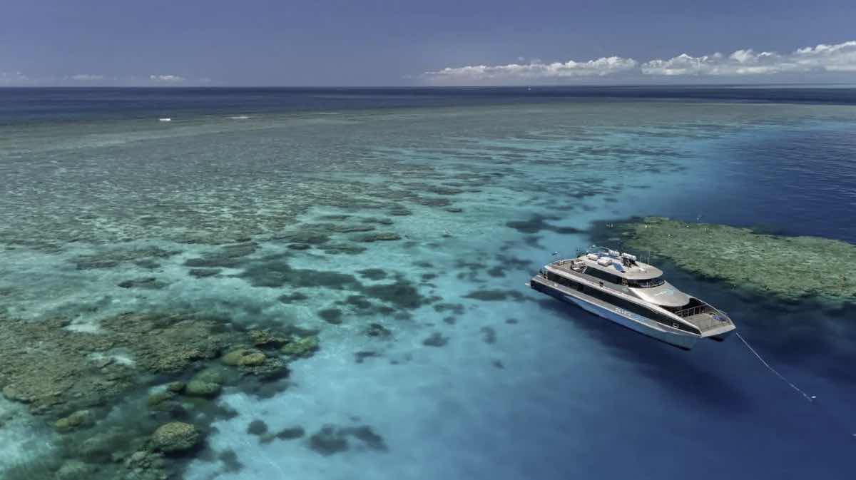 ABC Reef Safaris photo 6