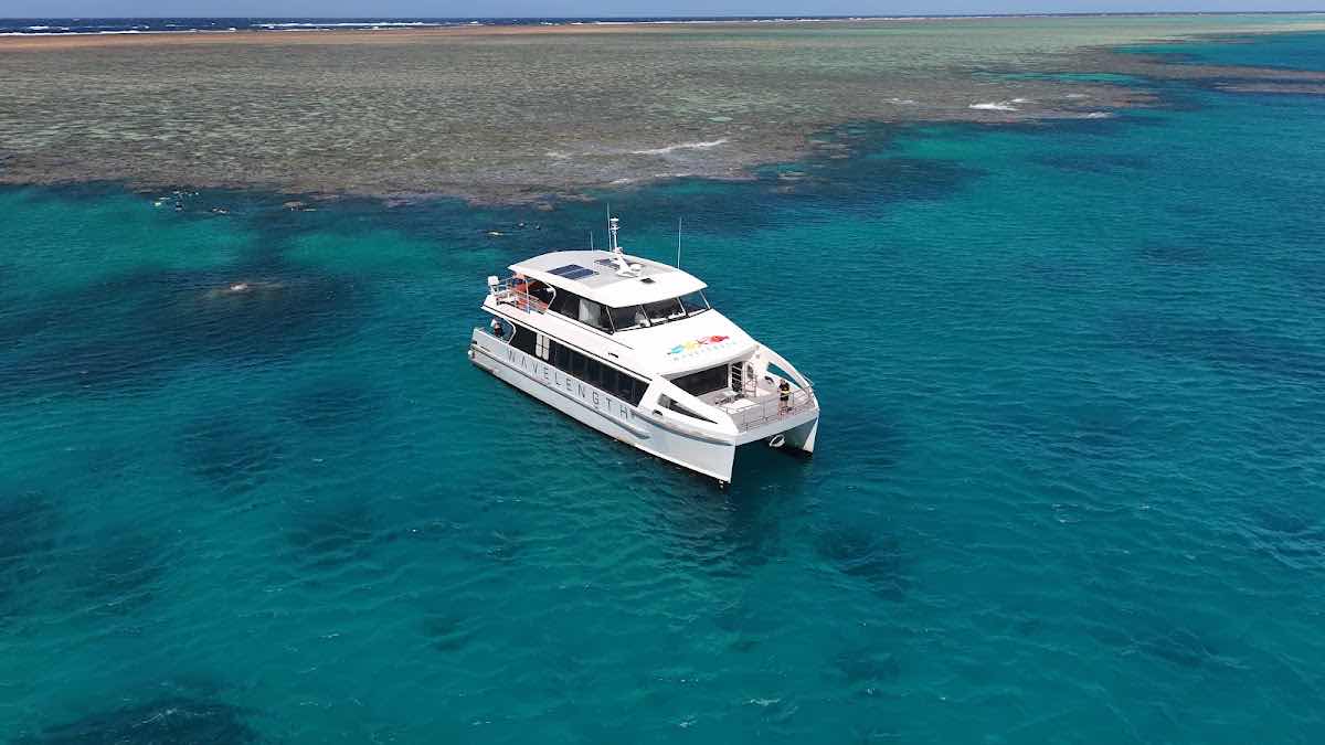 ABC Reef Safaris photo 7