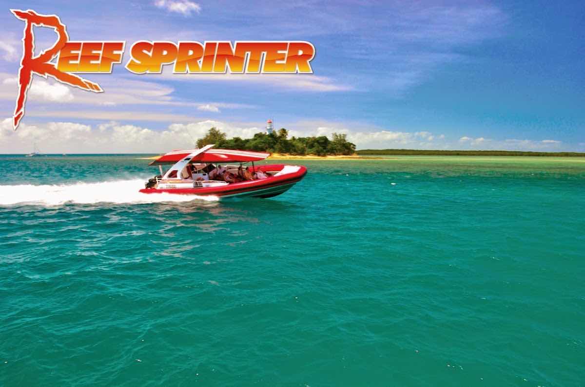 ABC Reef Safaris photo 9