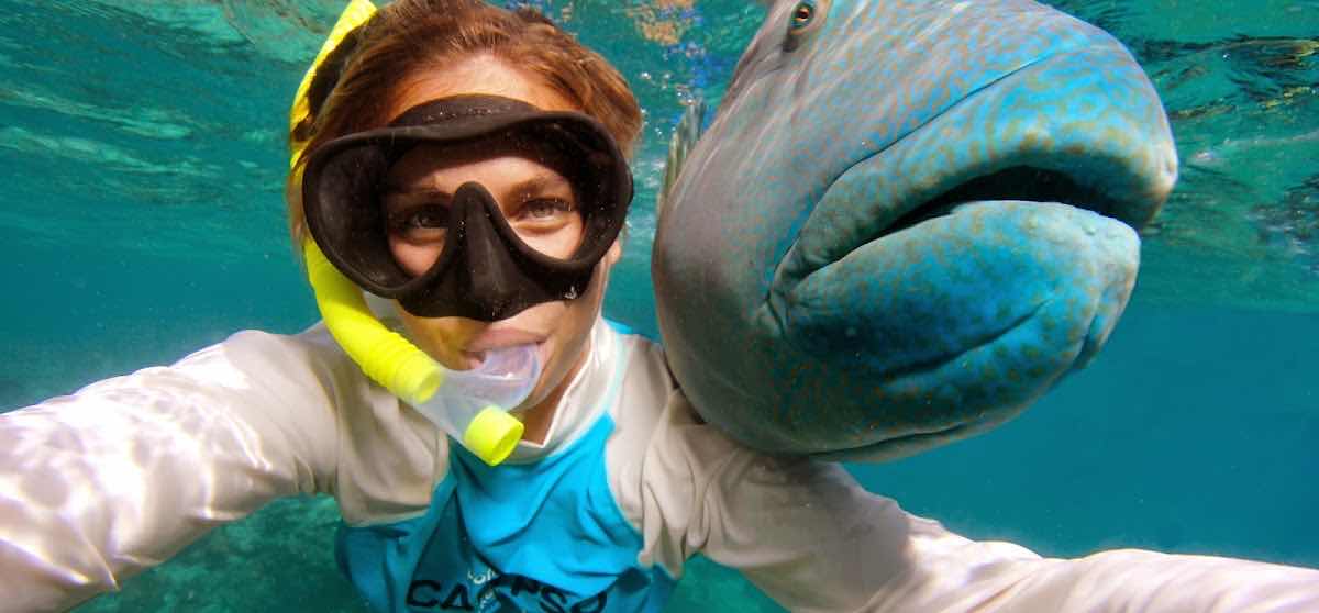 ABC Reef Safaris photo 10