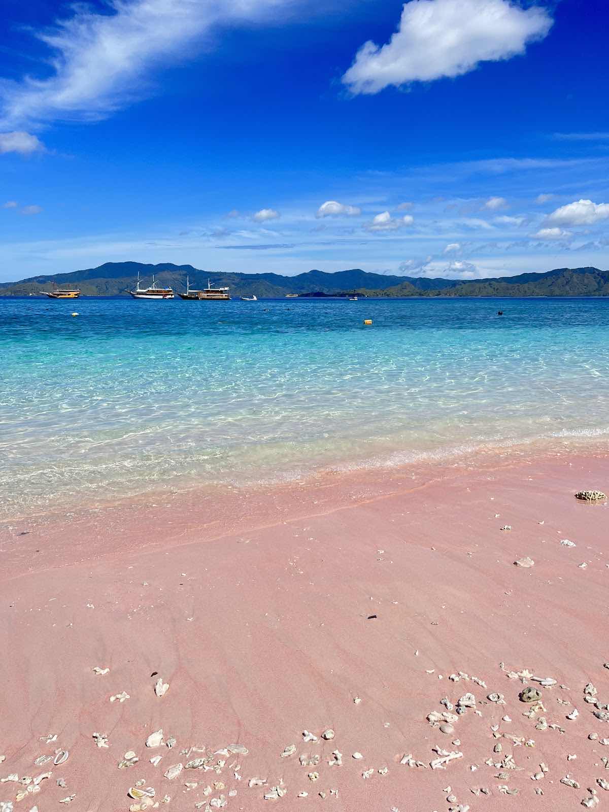 Sewa Kapal Labuan Bajo | Paket tour labuan bajo | Open trip Labuan Bajo | Paket wisata Labuan Bajo | LBJ Boat Charter photo 9